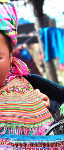 background Expertise