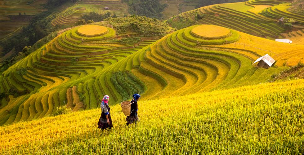 “Ce n'est pas l'abondance, mais l'excellence qui est richesse.”