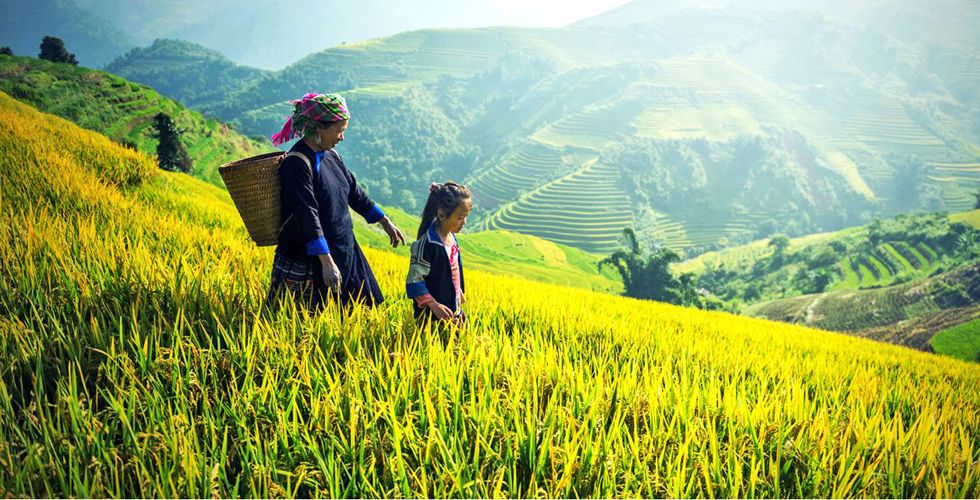 “Nos seules limites, les vôtres”